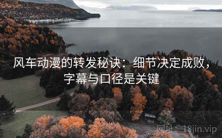 风车动漫的转发秘诀:细节决定成败,字幕与口径是关键 风车动漫的转发秘诀:细节决定成败,字幕与口径是关键